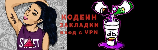 молекула духа Кулебаки