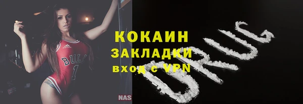 молекула духа Кулебаки